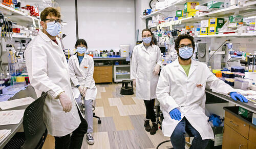Left to right; Nicholas Huston, Han Wan, Madison Strine, and Rafael Araujo Tavares working in Anna Marie Pyle’s lab. (Photo: Dan Renzetti)