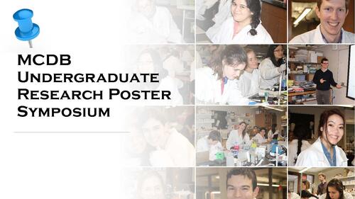 reads mcdb undergraduate poster symposium and has photos from labs