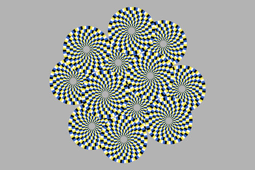 clark lab my snake optical illusion image