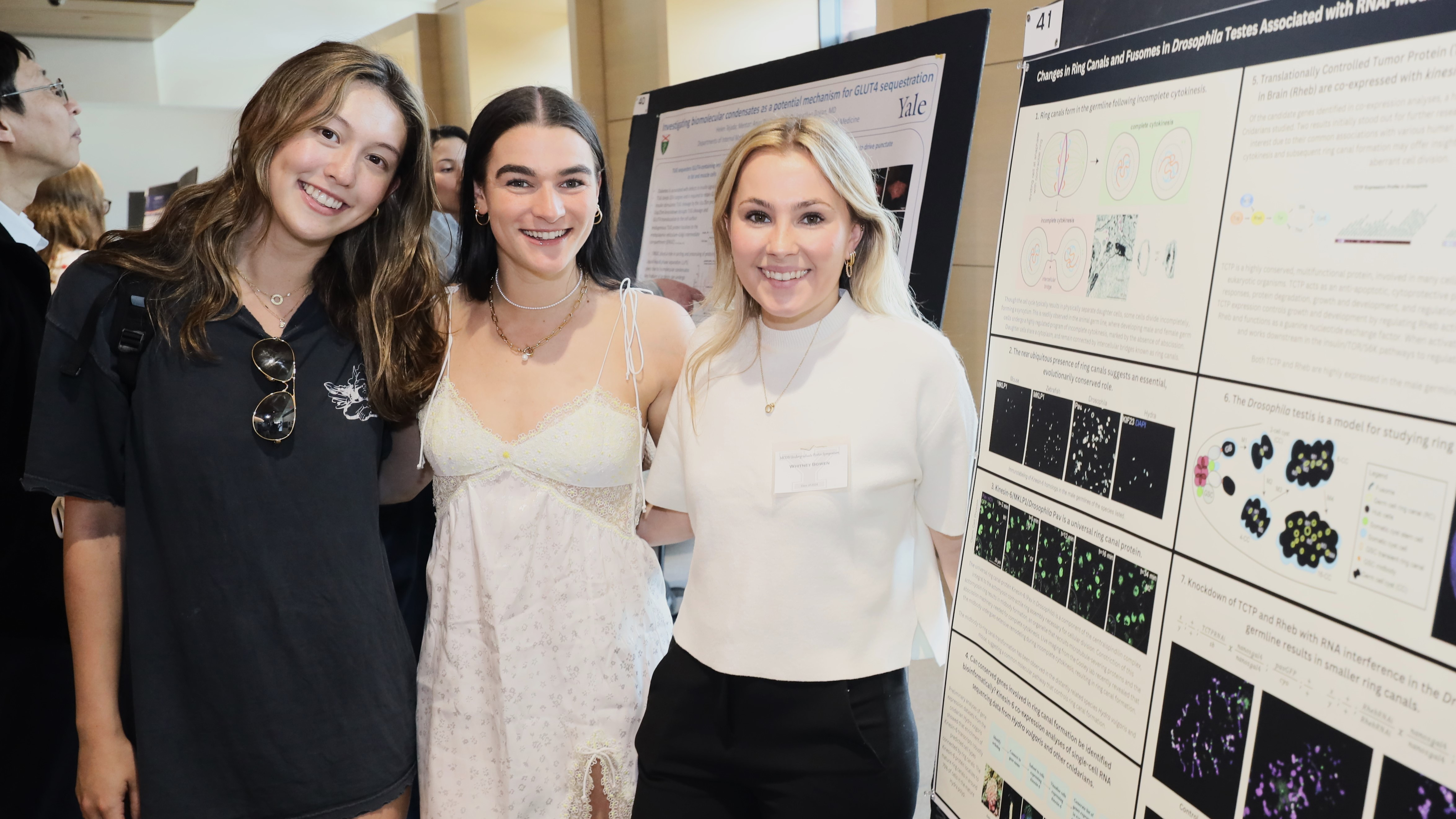 Whitney Bowe and friends