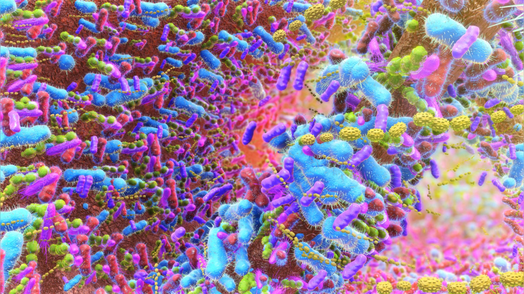 cellular art