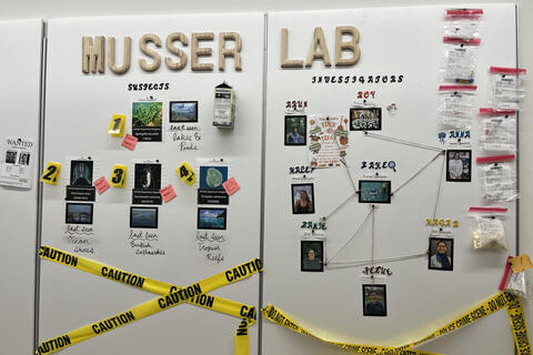 musser lab mystery clue wall