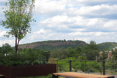 the view of east rock from the ysb first floor east terrace