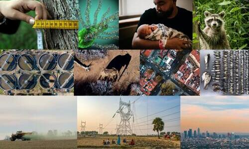 collage of photos including trees, man holding baby, racoon, factories, and farms