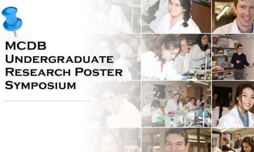 reads mcdb undergraduate poster symposium and has photos from labs