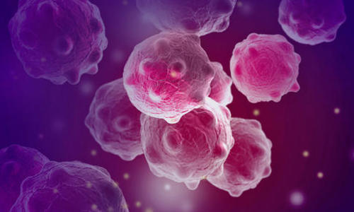 pink and purple image of cells