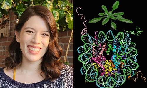 Emma Corcoran and Nucleosome Drawing, made by Emma which was selected for the cover of The Plant Cell