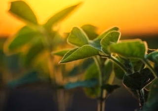 adobestock_112093935_ynews