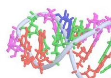 12-08-17_maddie_sherlock